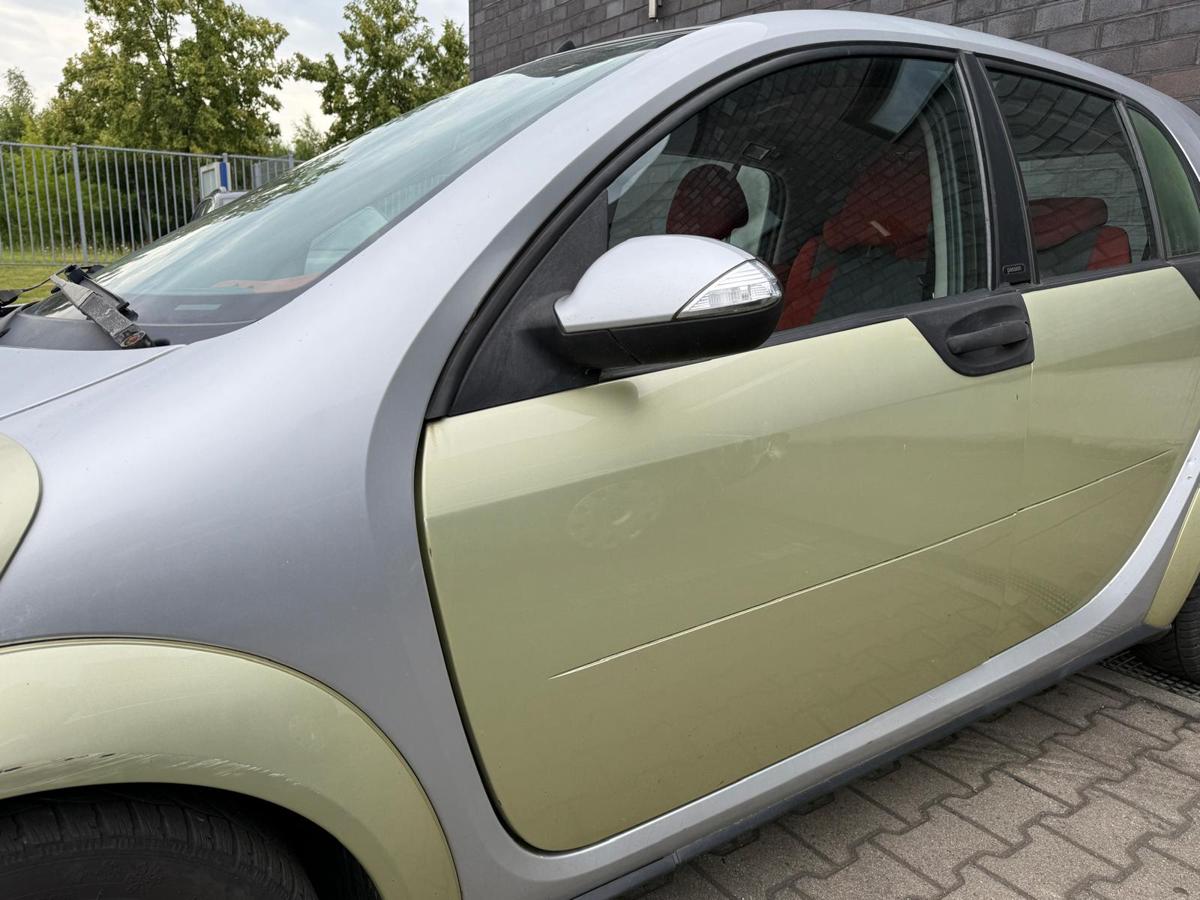 Smart ForFour 454 original Tür vorn links EAR Melon Green Rohbau BJ05